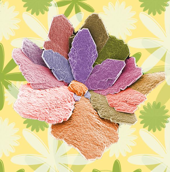 Colourful crystal plates arranged in a flower-like form